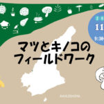 森の博士と行く！慶野松原で「マツとキノコのフィールドワーク」｜淡路島イベント
