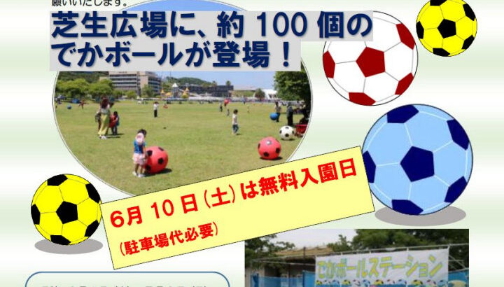 明石海峡公園の芝生広場に100個のでかボール（巨大ボール）が登場｜淡路島イベント