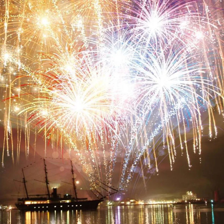 海上の特等席で花火を鑑賞