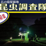 あわじ石の寝屋緑地でオールナイトの昆虫採集「昆虫調査隊」｜淡路島イベント