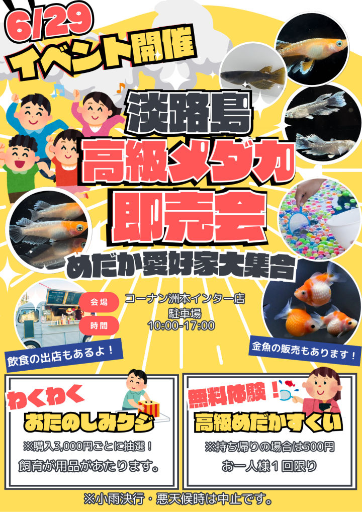 淡路島高級めだか即売会
