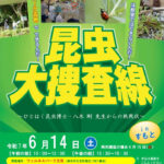 ウェルネスパーク五色で虫とりイベント「昆虫大捜査線」｜淡路島イベント