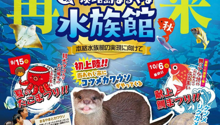 3週間限定！丸山漁港 海の展望広場に「淡路島まるやま水族館」オープン｜淡路島イベント