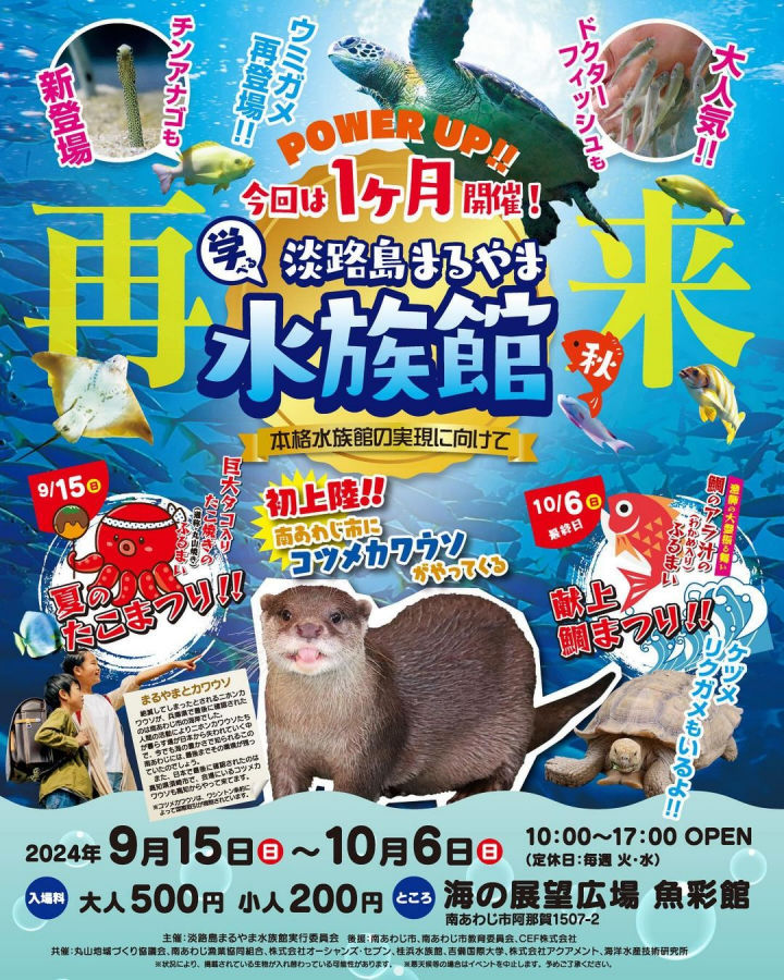 3週間限定！丸山漁港 海の展望広場に「淡路島まるやま水族館」オープン｜淡路島イベント