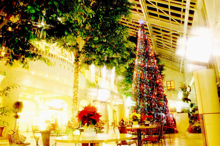 淡路ハイウェイオアシスに巨大クリスマスツリーが今年も登場|淡路島イベント