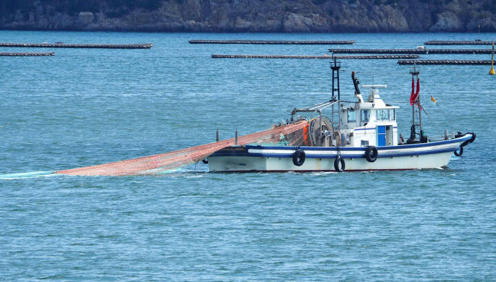 南あわじ市で漁師体験！漁船に乗って水揚げ作業を体験｜淡路島イベント