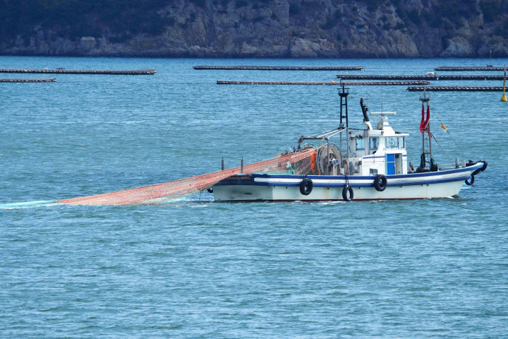 南あわじ市で漁師体験！漁船に乗って水揚げ作業を体験｜淡路島イベント