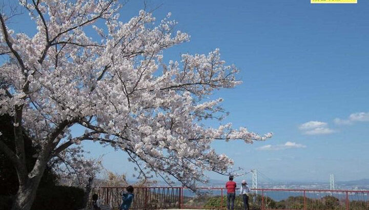 淡路島公園でウォーキングイベント「自然見て歩き」｜淡路島イベント