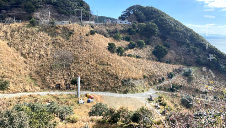 誰か引き継いで！立川水仙郷＆ナゾのパラダイスが売却に出ています｜淡路島話題