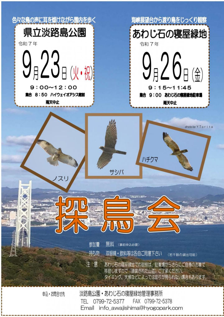 秋の探鳥会