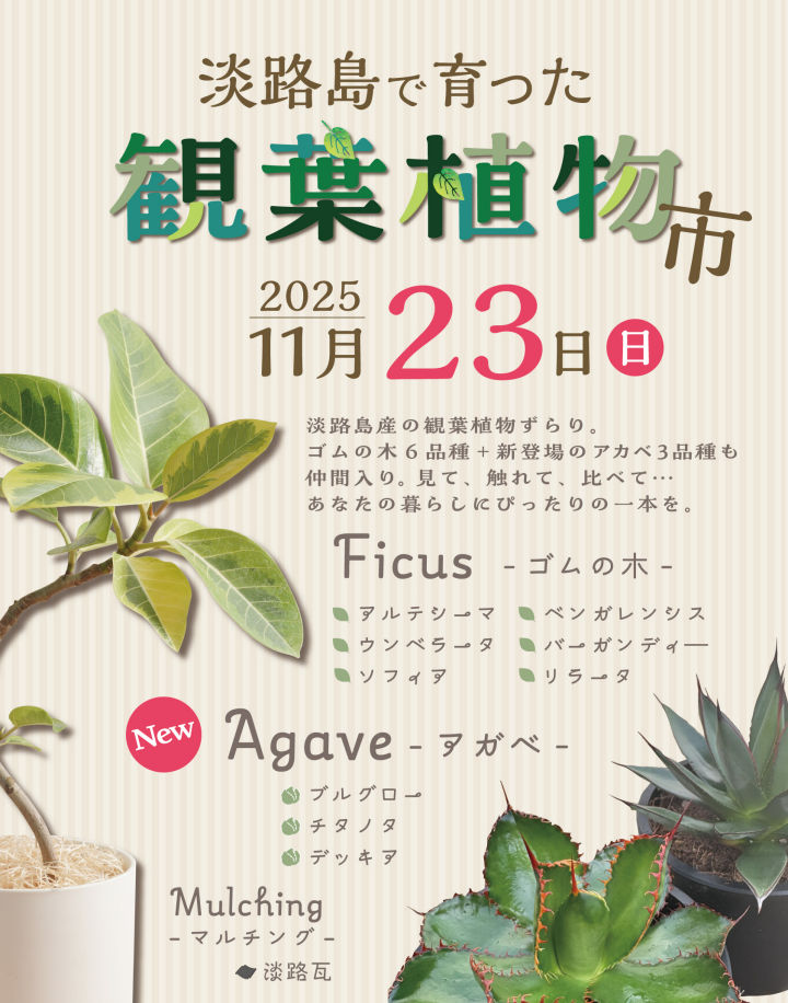 waSTEP(ワステップ)で「淡路島で育った観葉植物市」11/23開催|淡路島イベント